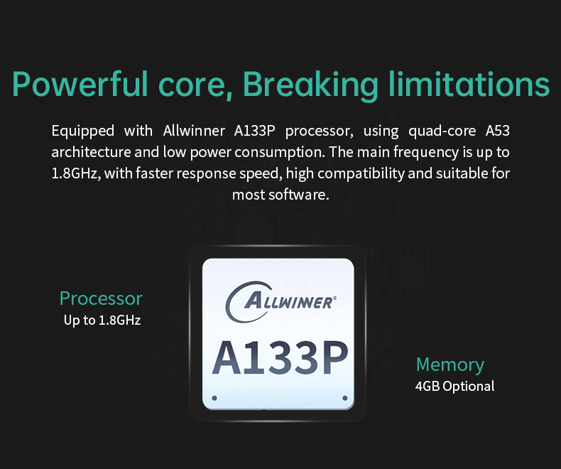 LIONTRON IXHUB - 10.1 inch Allwinner A133P CPU 1GB RAM + 8GB eMMC - Cap. Touch -  Intelligent Centrall Screen