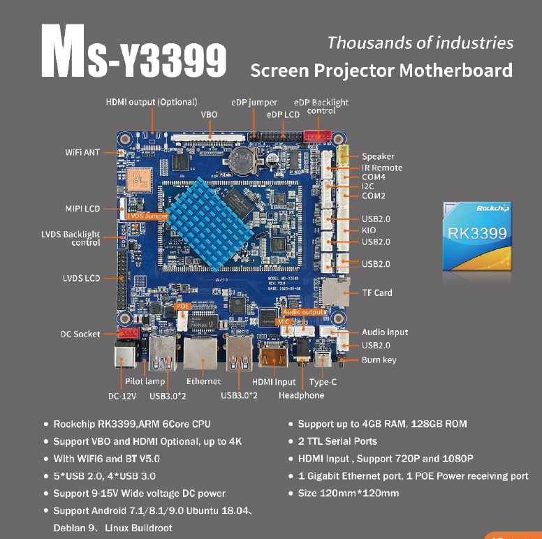 LIONTRON MS-Y3399 Screen Projector Motherboard